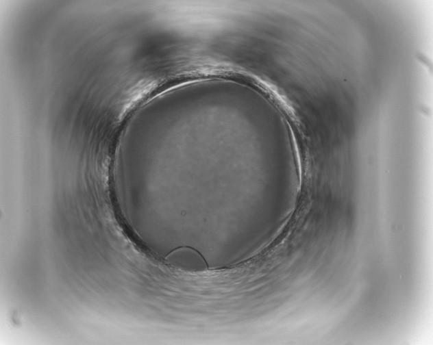 X0000093740010200710301114