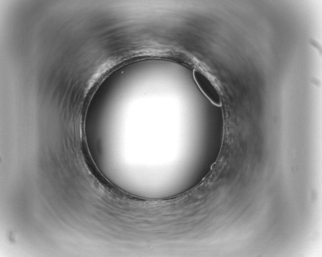 X0000093740011200710301114