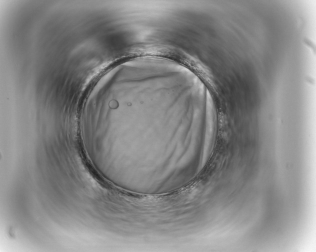 X0000093740012200710301114