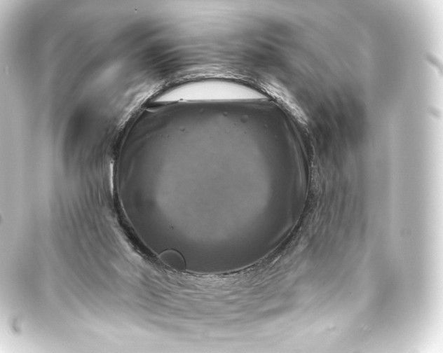 X0000093740014200710301114