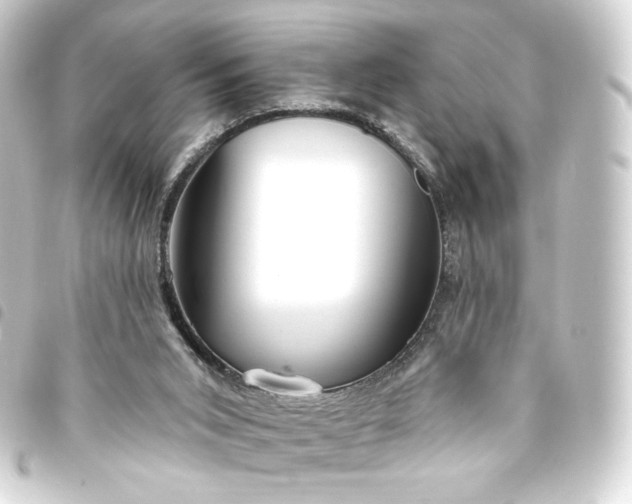 X0000093740015200710301114