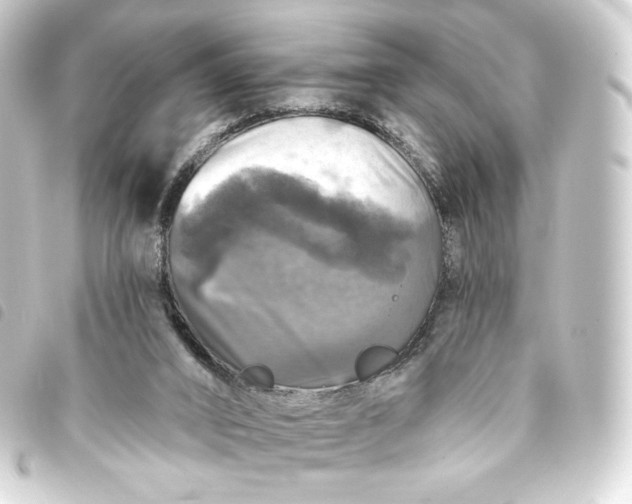 X0000093740016200710301114