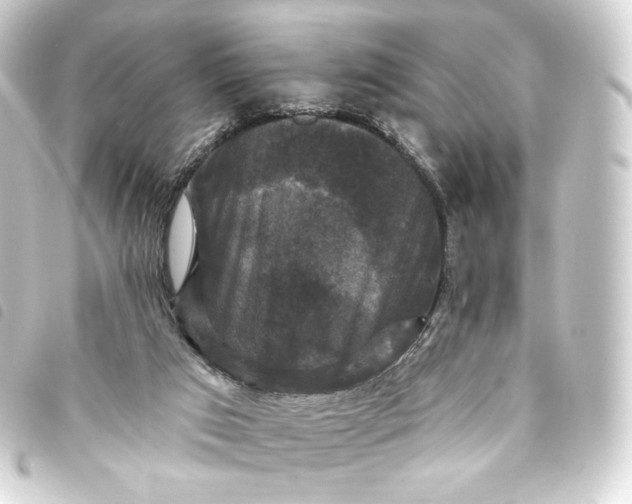 X0000093740017200710301114