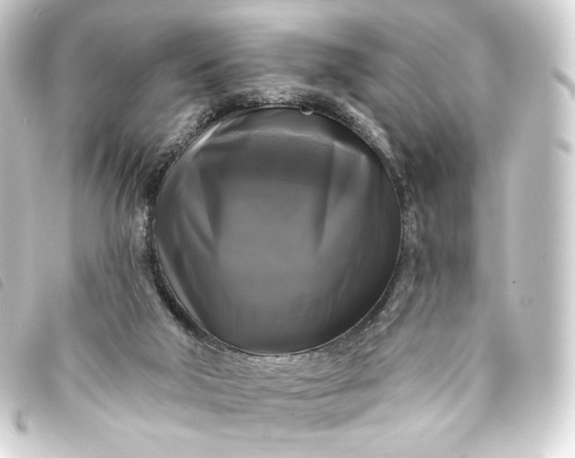 X0000093740018200710301114