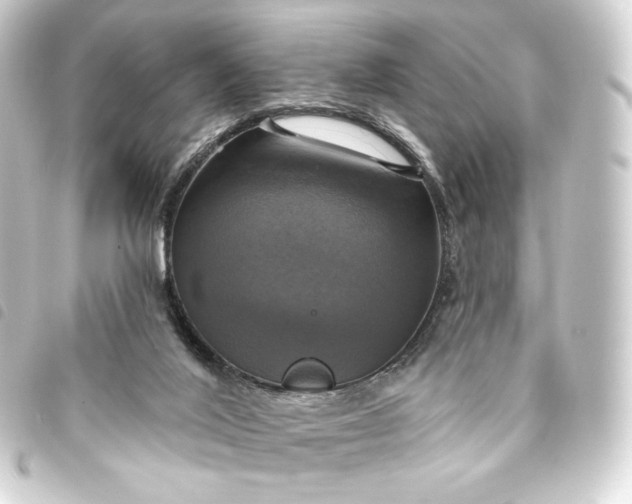 X0000093740020200710301114