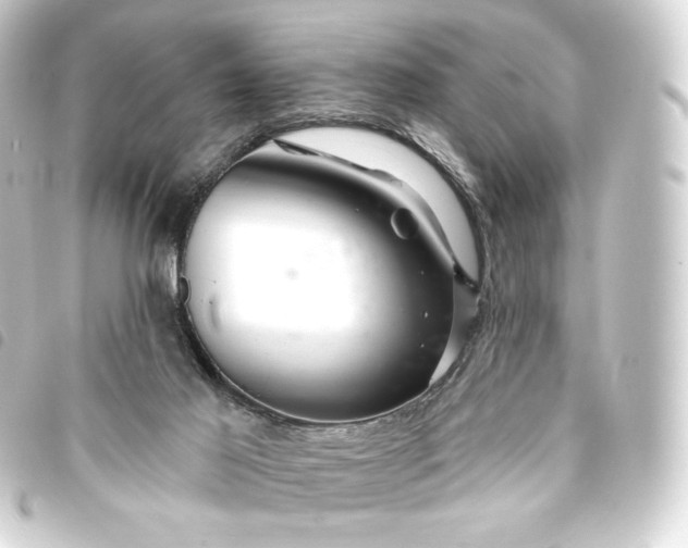 X0000093740021200710301114