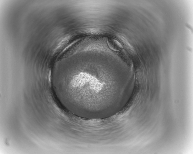 X0000093740024200710301114