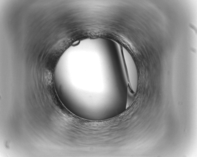 X0000093740025200710301114