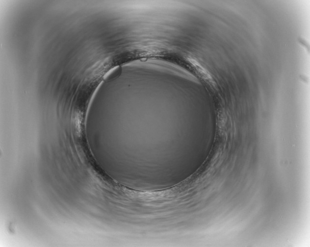 X0000093740026200710301114