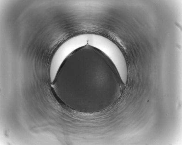 X0000093740027200710301114