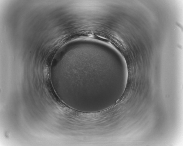 X0000093740029200710301114