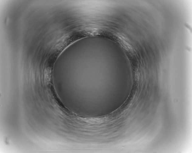 X0000093740030200710301114