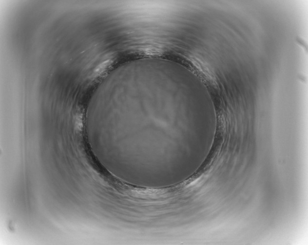 X0000093740032200710301114