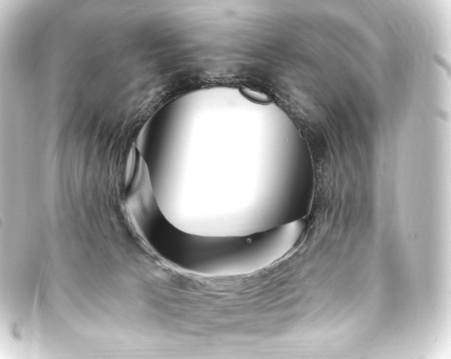 X0000093740033200710301114