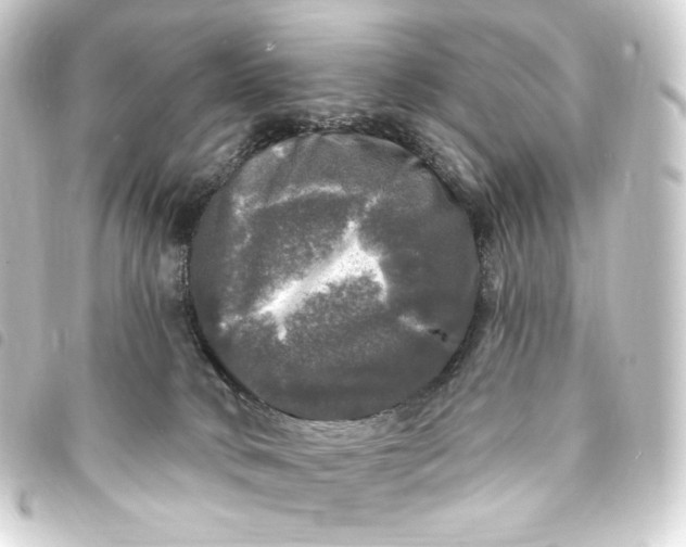 X0000093740034200710301114