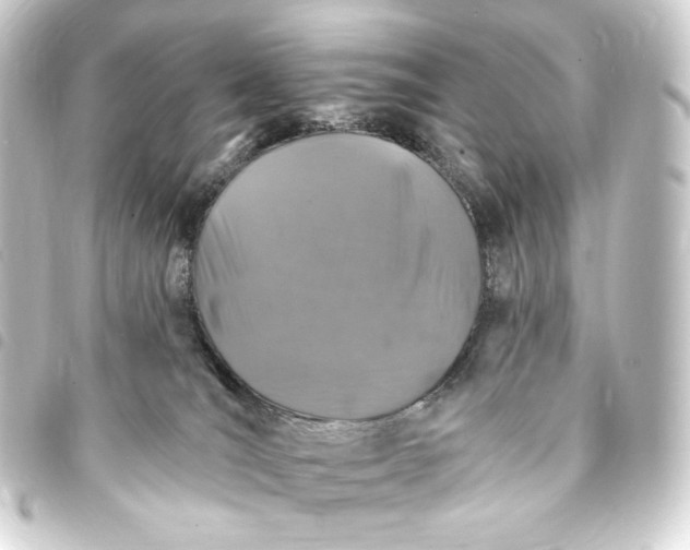 X0000093740036200710301114