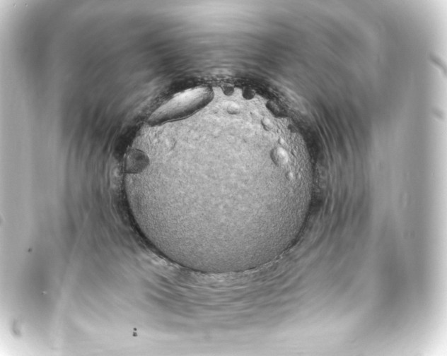 X0000093740037200710301114