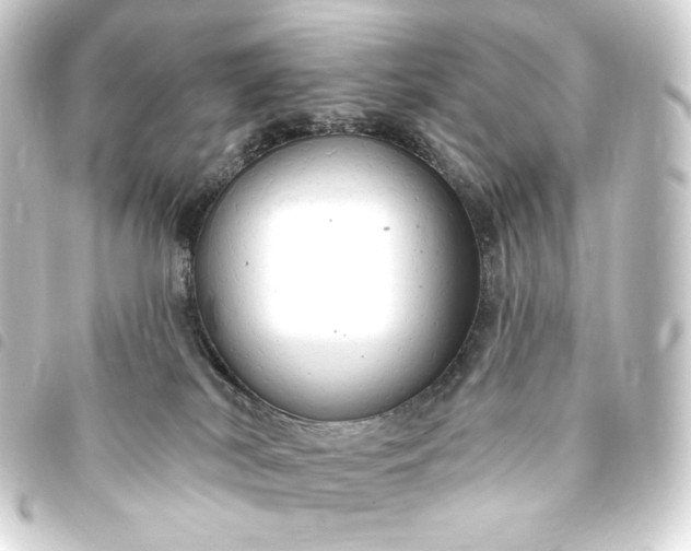 X0000093740038200710301114