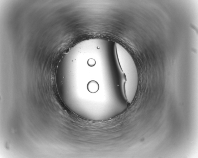 X0000093740039200710301114