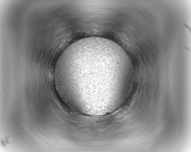 X0000093740040200710301114