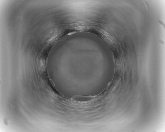 X0000093740043200710301114