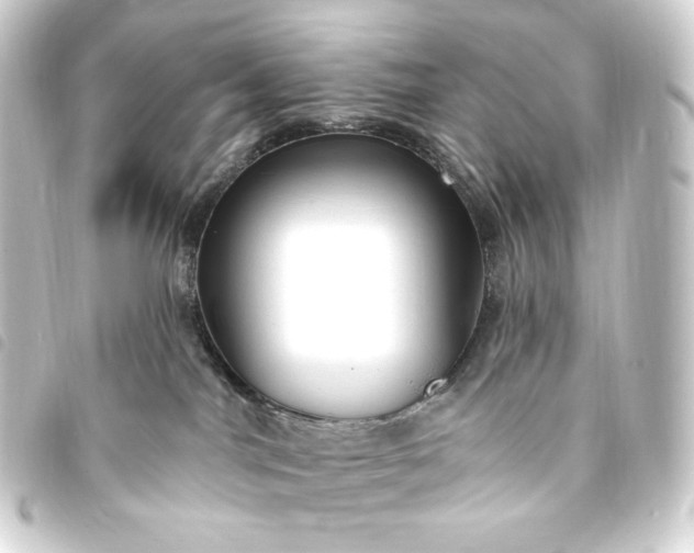 X0000093740044200710301114