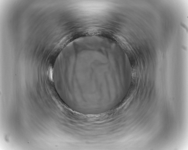 X0000093740046200710301113