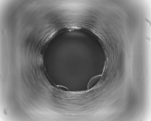 X0000093740048200710301113