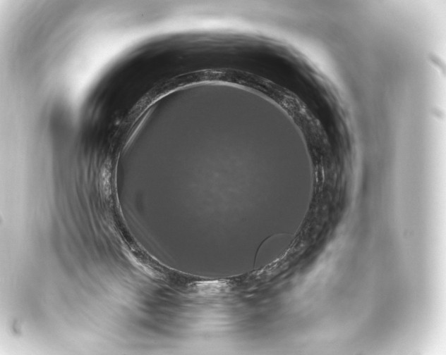 X0000093740050200710301113