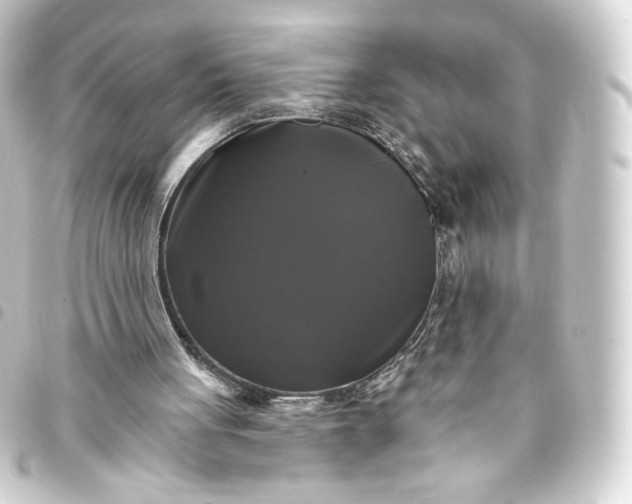 X0000093740051200710301113