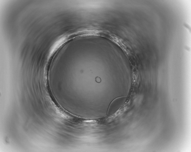 X0000093740053200710301113