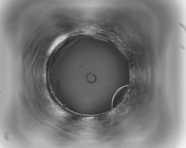 X0000093740054200710301113