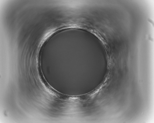 X0000093740055200710301113