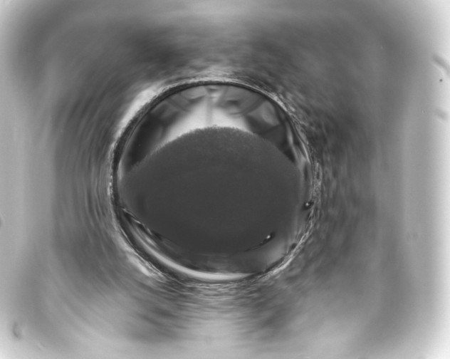 X0000093740056200710301113