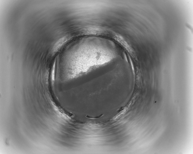 X0000093740058200710301113