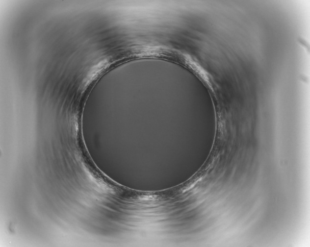 X0000093740059200710301113