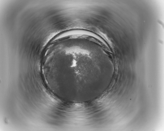 X0000093740060200710301113