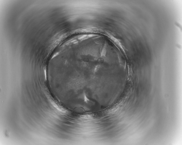 X0000093740061200710301113