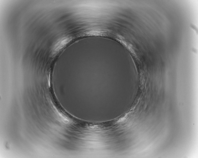 X0000093740062200710301113