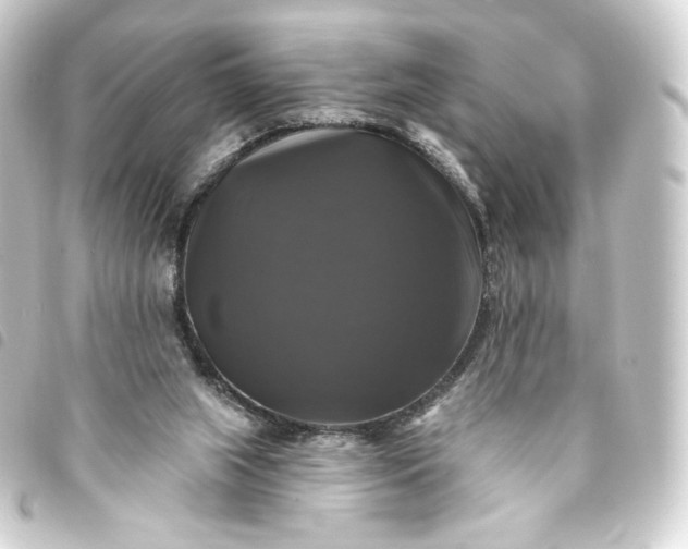 X0000093740063200710301113