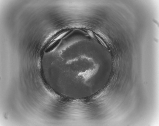 X0000093740064200710301113