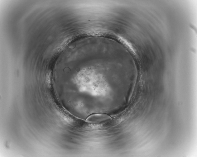 X0000093740065200710301113