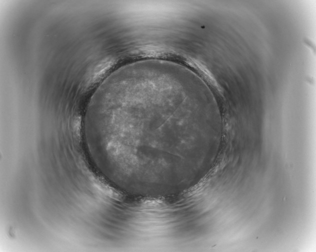 X0000093740066200710301113