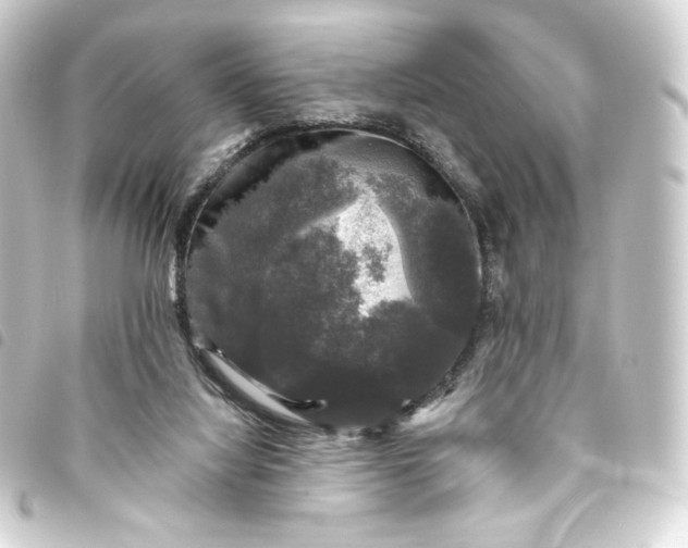 X0000093740068200710301113