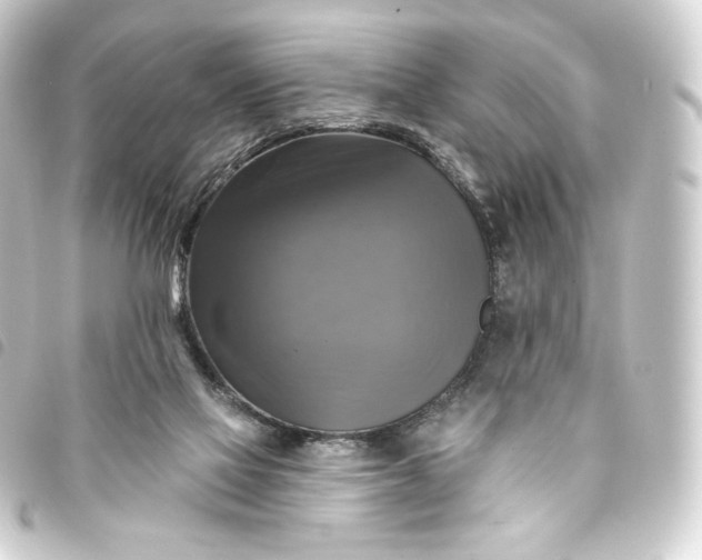 X0000093740069200710301113