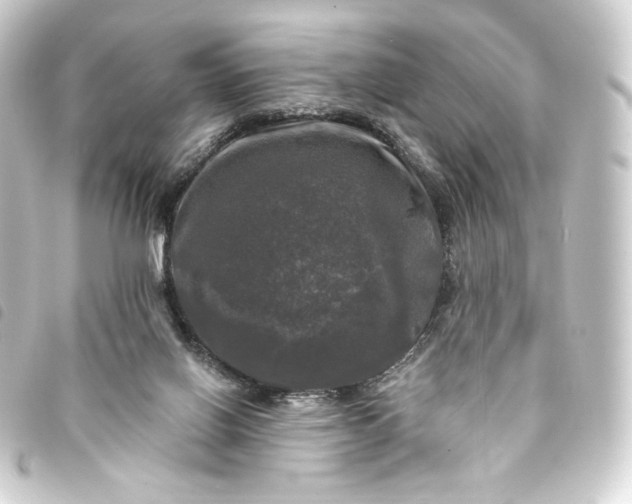 X0000093740070200710301113