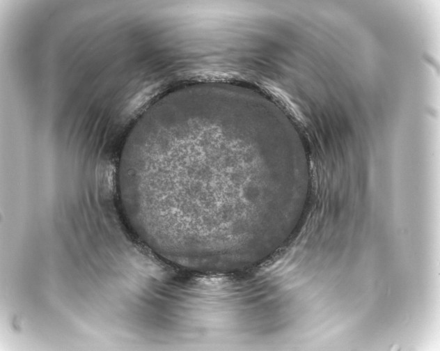 X0000093740071200710301113