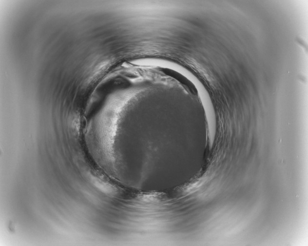 X0000093740072200710301113