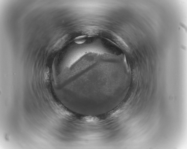 X0000093740073200710301113