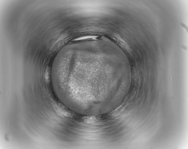 X0000093740074200710301113